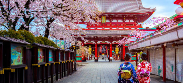 Tokio Tipps: Unsere Highlights der japanischen Hauptstadt