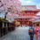 Zur Kirschblütenzeit nach Japan: 7 Tage mit 3* Hotel & Flug