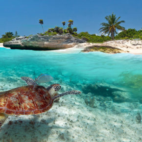 Mexiko Hammer: 8 Tage Karibikküste in Playa del Carmen mit Hotel & Flug für 283€
