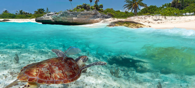 Krass günstig an die Mexikanische Riviera: 7 Tage Kreuzfahrt mit Carnival Panorama ab/bis Los Angeles inklusive Vollpension NUR 274€
