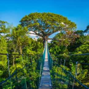 Peru Amazonas Brücke