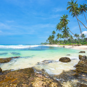 Sri Lanka Palmen Strand