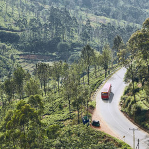 Sri Lanka Teeplantage