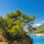 Kroatien Dalmatien Makarska Riviera Brela Panorama