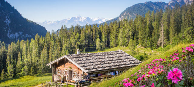 Wellness im Salzburger Land: 3 Tage im 4* Hotel mit Frühstück & Eintritt in die Alpentherme ab 109€