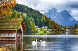 Österreich-Kurztrip mit Hund: 3 Tage im TOP 3* Hotel in der Steiermark mit Frühstück ab 127€