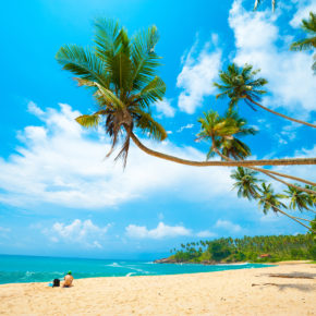 Traumziel Sri Lanka: [ut f="duration"] Tage mit TOP Unterkunft am Strand und Flug um [ut f="price"]€