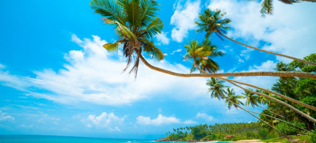 Traumziel Sri Lanka: 11 Tage mit TOP Unterkunft am Strand und Flug um 548€