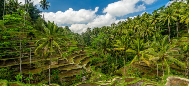 Frühbucher Bali: 13 Tage im schönen 4* Hotel in Strandnähe inklusive Flug um 796€