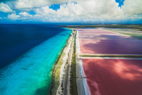 Bonaire Salinen