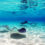 Karibik-Kreuzfahrt: 8 Tage auf der Harmony of the Seas mit Vollpension ab 654€