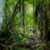 Costa Rica Corcovado Nationalpark wandern