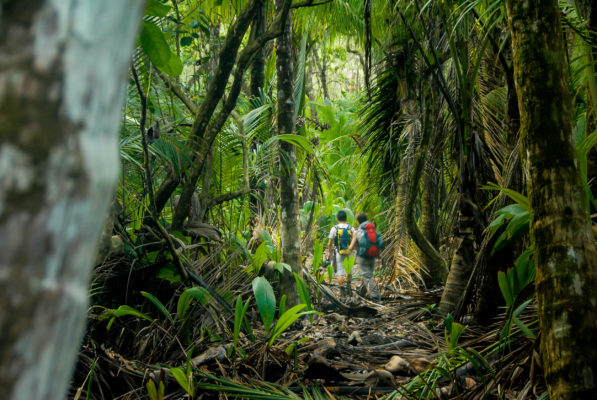 Costa Rica Corcovado Nationalpark wandern