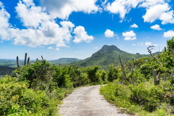 Curacao Aktivitäten Willemstad Christoffel Nationalpark