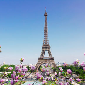 Kurztrip im Frühling: 3 Tage Paris mit Unterkunft & Flug nur 80€