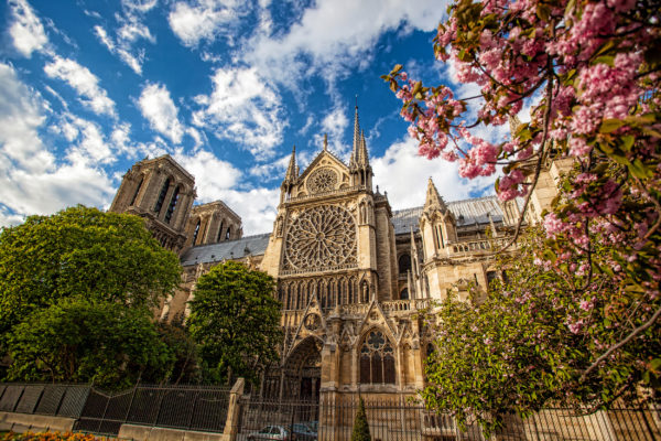 Frankreich Paris Frühling Notre Dame