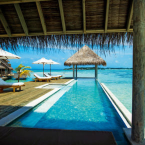 Bock auf Luxus? 8 Tage Malediven im TOP 6* Hotel mit Halbpension, Flug & Transfer um 3824€ Bock auf Luxus? 8 Tage Malediven im TOP 6* Hotel mit Halbpension, Flug & Transfer um 3824€
