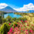 Guatemala Vulkan San Pedro Blumen