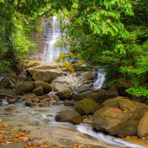 Indonesien Borneo Kubah Nationalpark