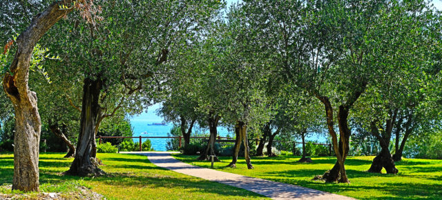 Kurztrip an den Gardasee: 2 Tage mit TOP Hotel & Frühstück nur 29€