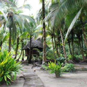Panama Hütte Bocas del Toro