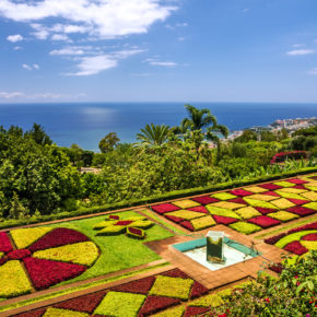 Ab auf die Blumeninsel Madeira: [ut f="duration"] Tage im sehr guten [ut f="stars"]* Hotel mit [ut f="board"], Flug & Transfer nur [ut f="price"]€