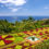 Ab auf die Blumeninsel Madeira: 6 Tage im TOP 4* Hotel mit Frühstück, Flug & Mietwagen nur 463€