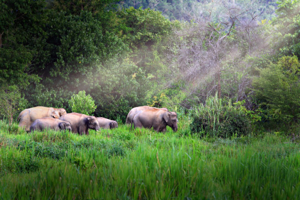 Thailand Kui Buri Nationalpark