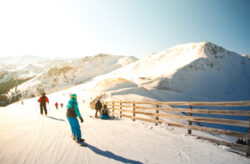 Skigebiete in Österreich: Pisten, Preise & Schneesicherheit