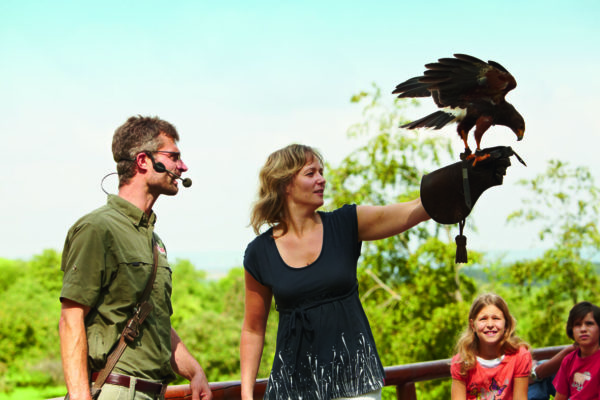 Wildparadies Flugvorführung