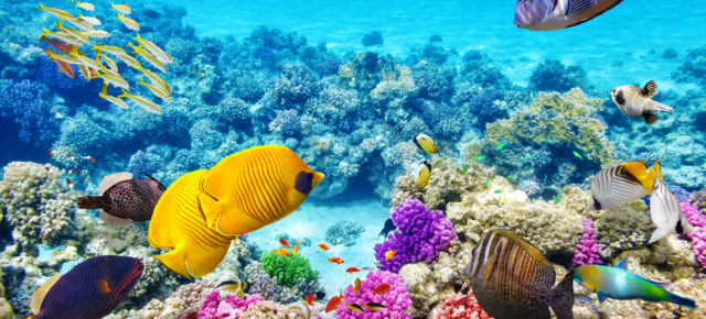Ägypten Kracher: 12 Tage Sonne pur mit 3* Hotel, All Inclusive & Flug nur 469€