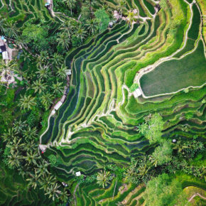 Bali Frühbucher: 13 Tage im TOP 3* Hotel inkl. Frühstück & Flug um 513€ Bali Frühbucher: 13 Tage im TOP 3* Hotel inkl. Frühstück & Flug um 513€