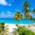 Barbados Bottom Bay Palmen