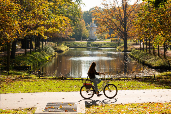 Berlin Tiergarten Fahrrad