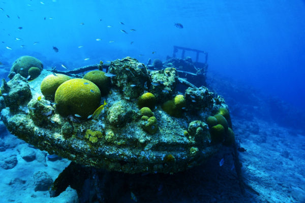 Curacao Tauchen Schiffswrack