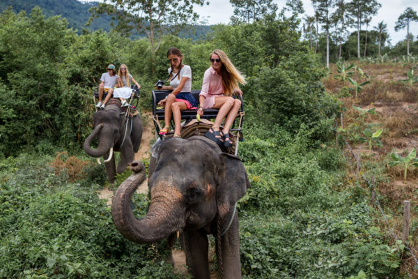 Elefanten reiten Jugendliche