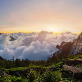 Indien Kerala Meesapulimala Peak