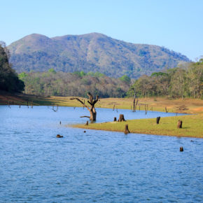 Indien Kerala Thekkady See