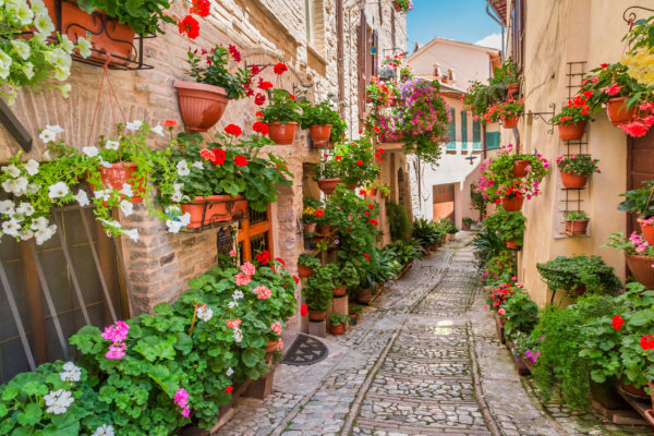 Italien Umbria Kleine Straße Pflanzen