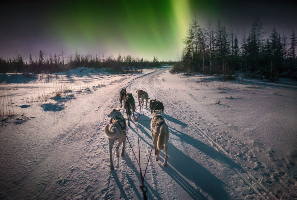 Kanada Husky Tour