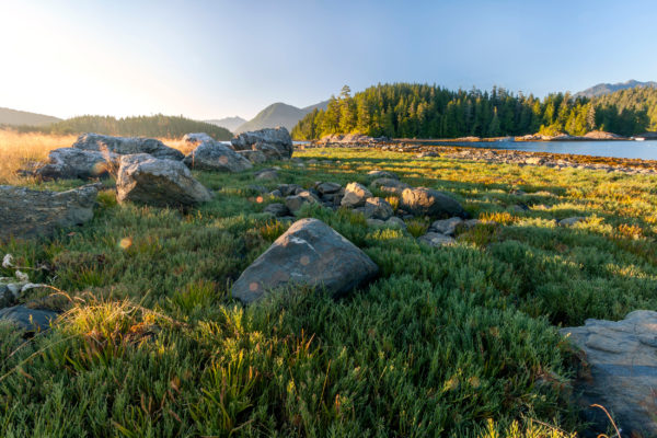 Kanada Pacific Rim Nationalpark