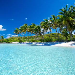 Karibik Palmen Tropenstrand