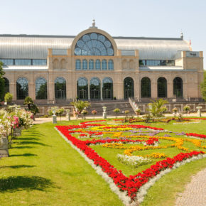 Köln Botanischer Garten