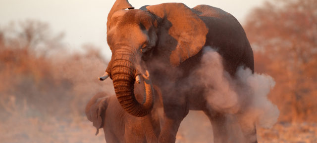 Südafrika-Rundreise: 15 Tage quer durch Südafrika inkl. Unterkünfte, Verpflegung, Flug & Transfers nur 2599€