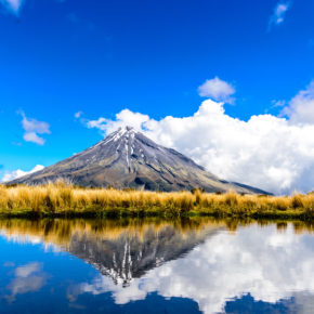 Neuseeland Mount Taranaki Egmont Nationalpark