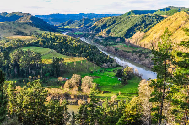 Neuseeland Whanganui Nationalpark