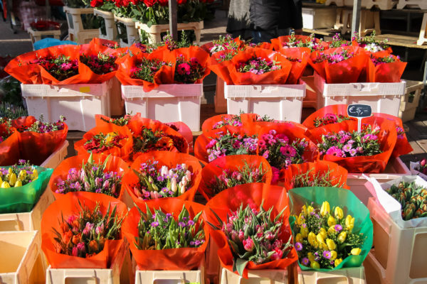 Niederlande Utrecht Blumenmarkt