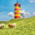 Nordsee Leuchtturm Pilsum Schafe