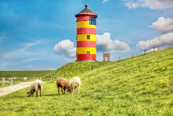 Nordsee Leuchtturm Pilsum Schafe