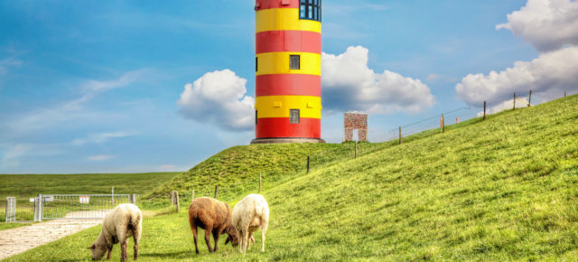 Die 11 schönsten Sehenswürdigkeiten & Ausflugsziele in Ostfriesland